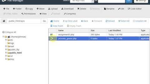 ICS 321 Part 1: Random Guess Program using PHP only