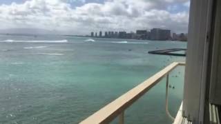 Colony surf 301