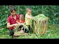 The single mother took her two children for a health checkup harvest green beans go to market sell