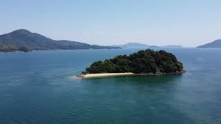 ドローン空撮 周防大島町 笠佐島の南にある小さな島・野島に行くと野鳥がたくさんいた! 4K映像