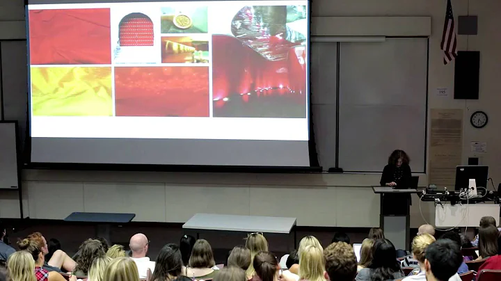 Joan Blumenfeld: Seeing Inside: Interior Architect...