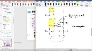 Proteins - Part 2 Protein Structure