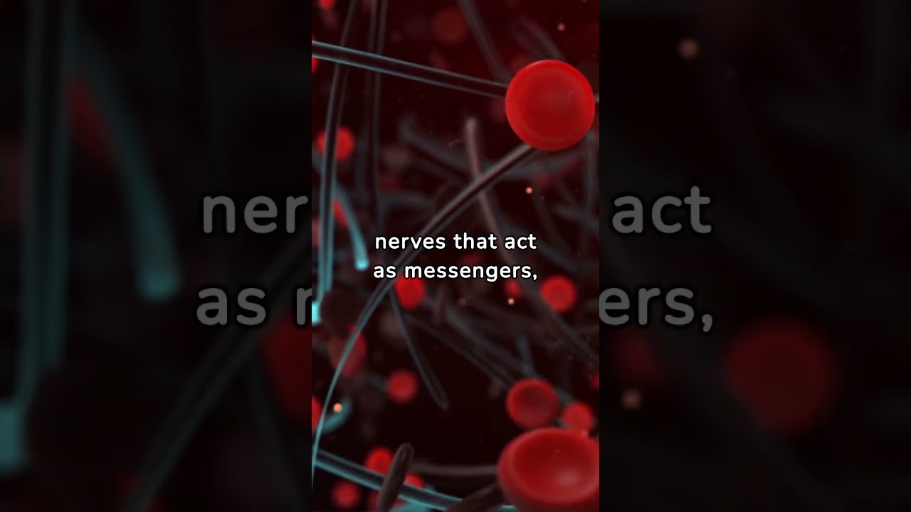 Coordination: Harmonious Collaboration of Body Movements 