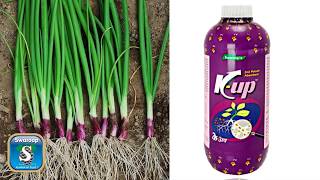 Kup, K UP Organic Potash Absorbent, Specialty Herbal Products, Nashik, India - Swaroop Agrochemicals