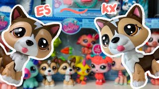 Whatβs the Difference Between ES and KX LPS {wave 2 pet pairs review)