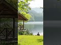 I Built A Chill Workspace For Deep Focus #shorts #viralshorts #shortvideo