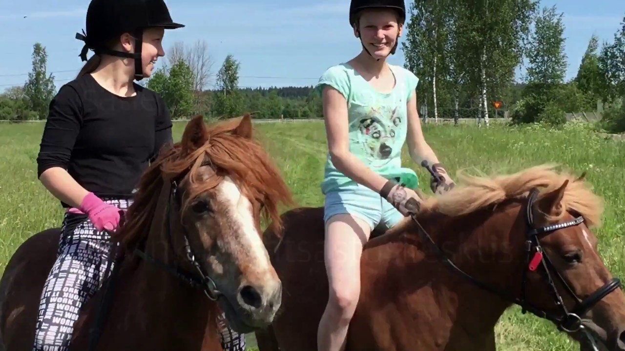 Tervetuloa Heponiityn ponitunneille!