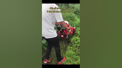 Máy cắt cỏ trục băm chuyên nghiệp động cơ dầu 10hp máy cắt cỏ nông nghiệp