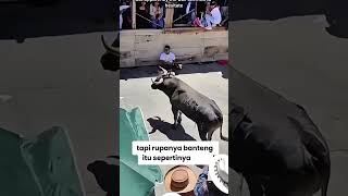 Begini trik mengelabuhi banteng #uniqueshorts