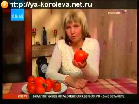 Хурма польза или вред для здоровья