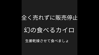 残念ながら売れずに販売中止？幻の食べるカイロ。。。生姜乾燥させてそれを食べれば食べるカイロです・・・・