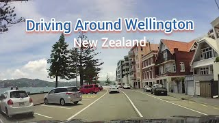 The Best Way To See Wellington: Driving Around!