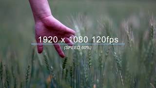 1dx mark2 video field test. 4k 30fps, 60fps / fhd 120fps