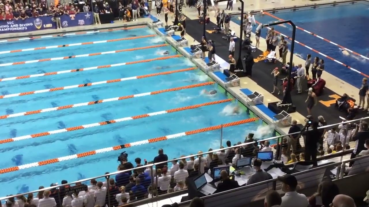 Derek Maas, Rhyan White & Riley Gaines Named SEC Swimmers of the Week