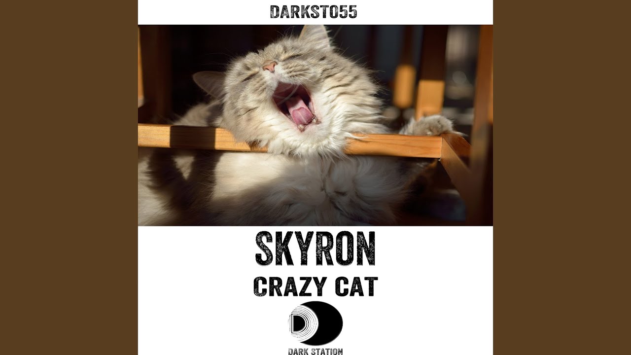 Watch Crazy Cat (Original Mix) on YouTube Watch Crazy Cat (Original Mix) on YouTube