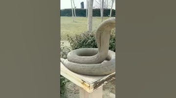 Nagin nag sapera ki video #comedy #funny #ichchadhari nag#trending snake video #sampon ka jakhira 🐍🐍