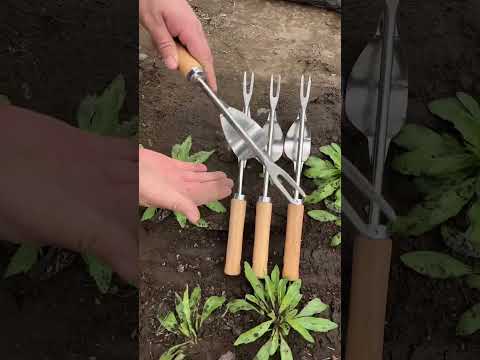 Video Thumbnail: Rural Farmer #8072