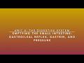 S2U4V18 Emptying The Small Intestine Gastroileal Reflex Gastrin And Pressure 