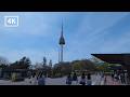 Namsan Tower Cherry Blossom Walking Tour Seoul | 서울 남산 벚꽃 산책 &amp; 전망대 4K ASMR