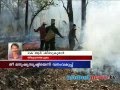 Wayanad Forest Fire Man-made, Forest