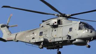 Merlin & Falcons Prestwick Airport JW19-2 [4K/UHD]