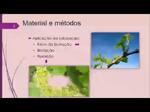 Vídeo: Composição Química Completa Das Uvas