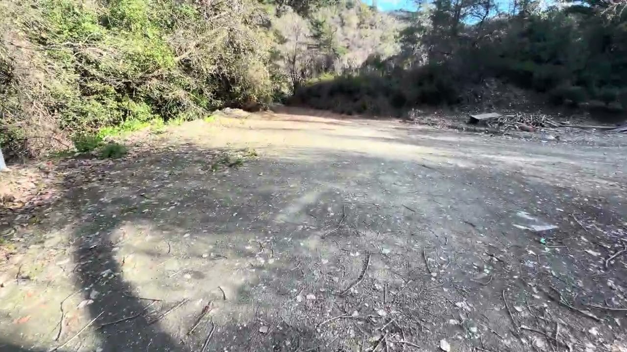 walking in the forest in the Republic of Cyprus 🇨🇾 | the earth’s nature 