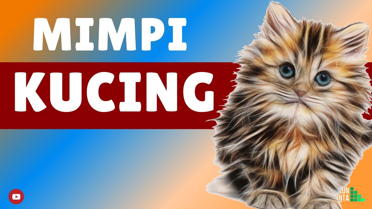 Arti Mimpi Tentang Kucing Penasaran Tonton Sekarang Youtube