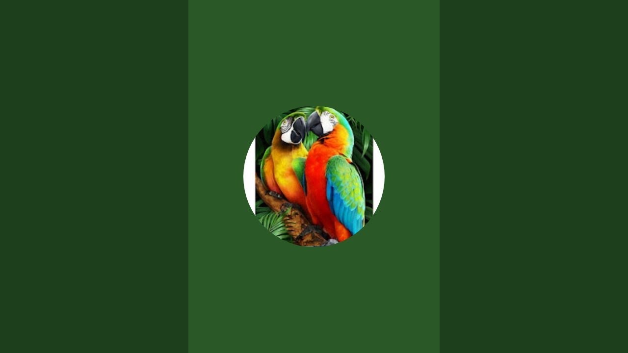 Explore Life is live