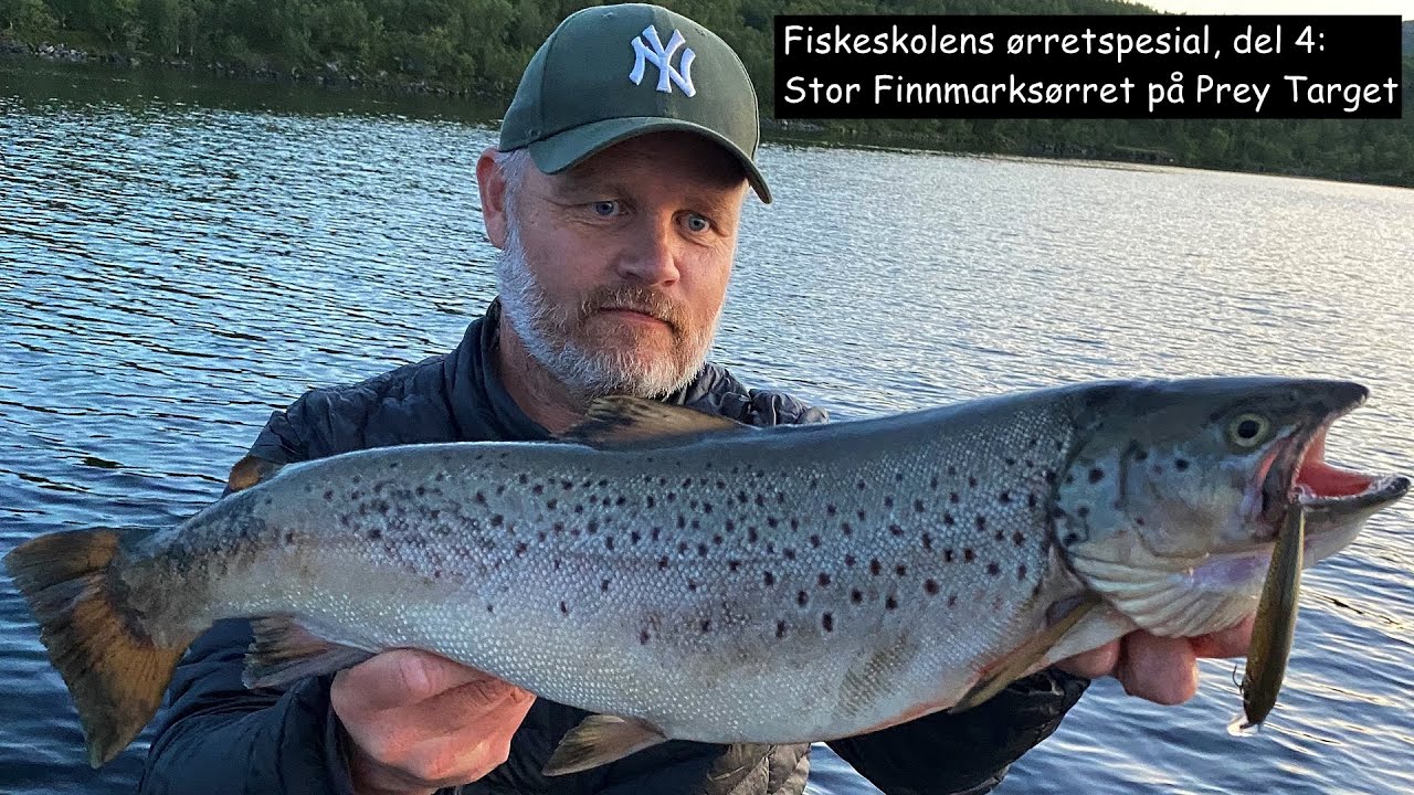 Fiskeskolens ørretspesial, del 4: Stor Finnmarksørret på Prey Target