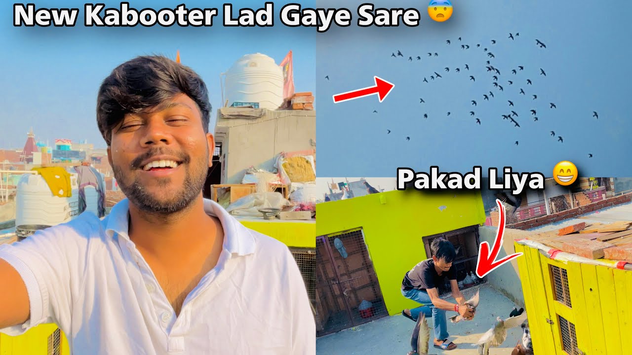 Aaj New Kabooter Lad Gaye Sare Sehdi Se 😨| ESi Tesi kar Di Sehdi ki 😂