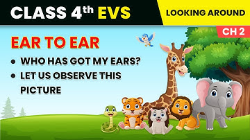 Who Has Got My Ears? & Let Us Observe This Picture - Ear to Ear | Class 4 Environmental Studies Ch 2