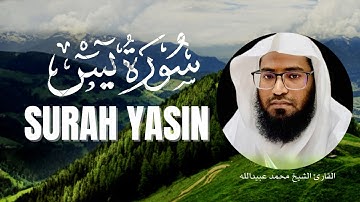 سورة يس كاملة بصوت الشيخ محمد عبيدالله تلاوة خاشعة #qurantilawah