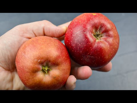 Чудо выпечка из яблок! Воздушное изделие как пух! Даже духовки не надо
