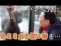 真冬のパンくんに動物園の社長があたたかい飲み物を渡したら感謝の行動をしてきた…
