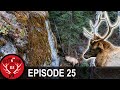 An Elk Hunting "Cliffhanger"... (Destination Elk V3 - Episode 25)