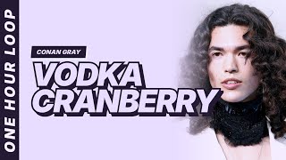 Conan Gray - Vodka Cranberry [One hour loop]