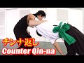 【Kung-fu】Counter Qin-na ! 【Tamotsu Miyahira】