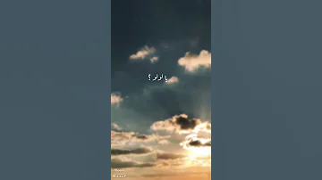 عصفور طل من الشباك 