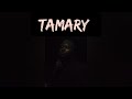 Peaceyboy Tamary Officil Pro By Leadmas mp3