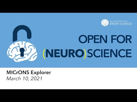 Open for (neuro)science tutorials: MICrONS Explorer