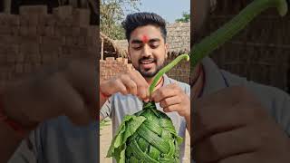 Turning Leaves into a GIANT African Cucumber 😳🥒🍃 | 8s Satisfying Craft #shorts
