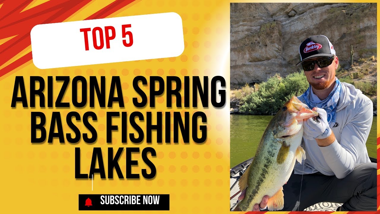 Top 5 Arizona Spring Bass Fishing Lakes