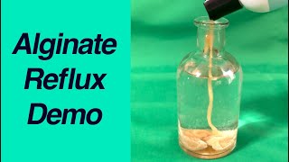 How Alginate Helps Control Reflux: Real-Life Demonstration