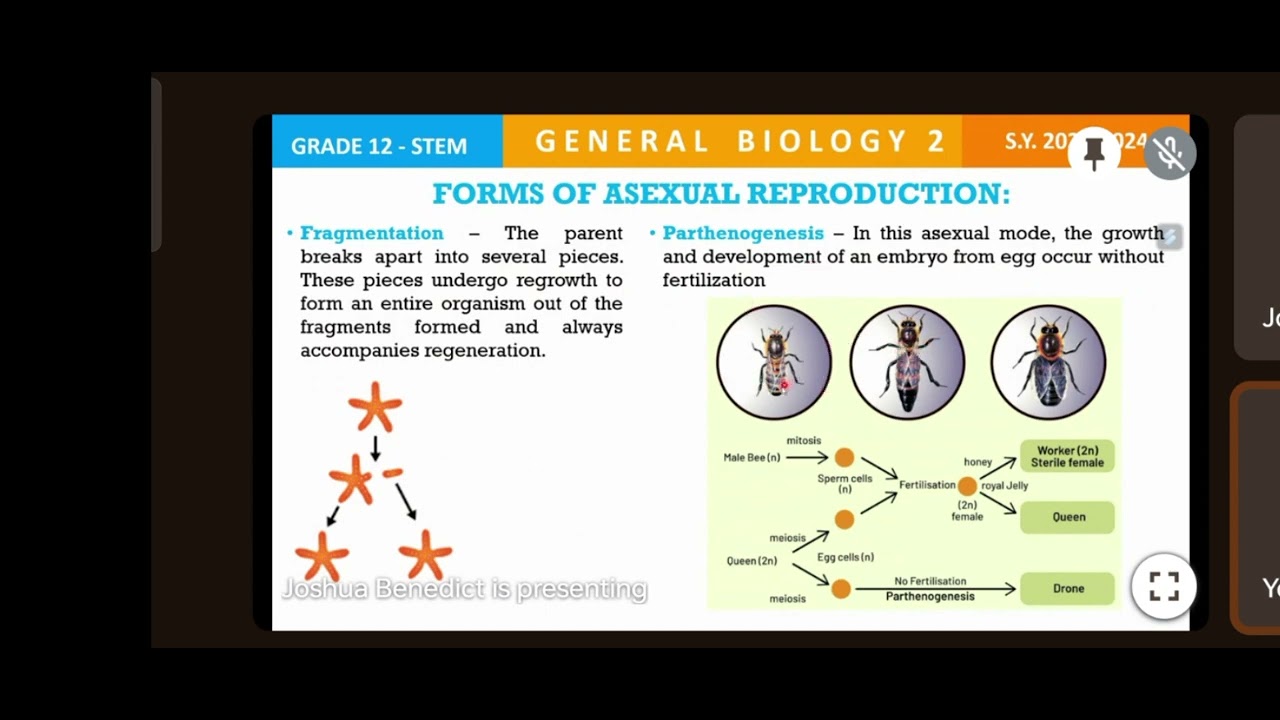 GEN BIO 2 - REPRODUCTION - YouTube