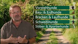 Jagdhunde  eine Übersicht