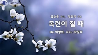(창작가곡) 목련이 질 때 (엄순용 작시 / 정연택 작곡 / 테너 이영화 / 피아노 박원후)