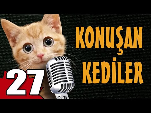 Konuşan Kediler 27 - En Komik Kedi Videoları