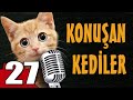 Konuşan Kediler 27 - En Komik Kedi Videoları
