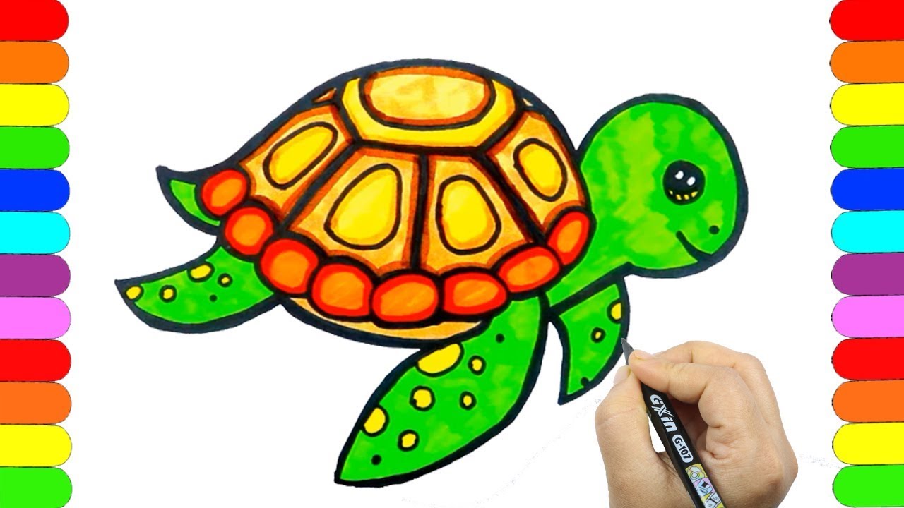 Cartoon Turtle coloring page | Free Printable Coloring Pages